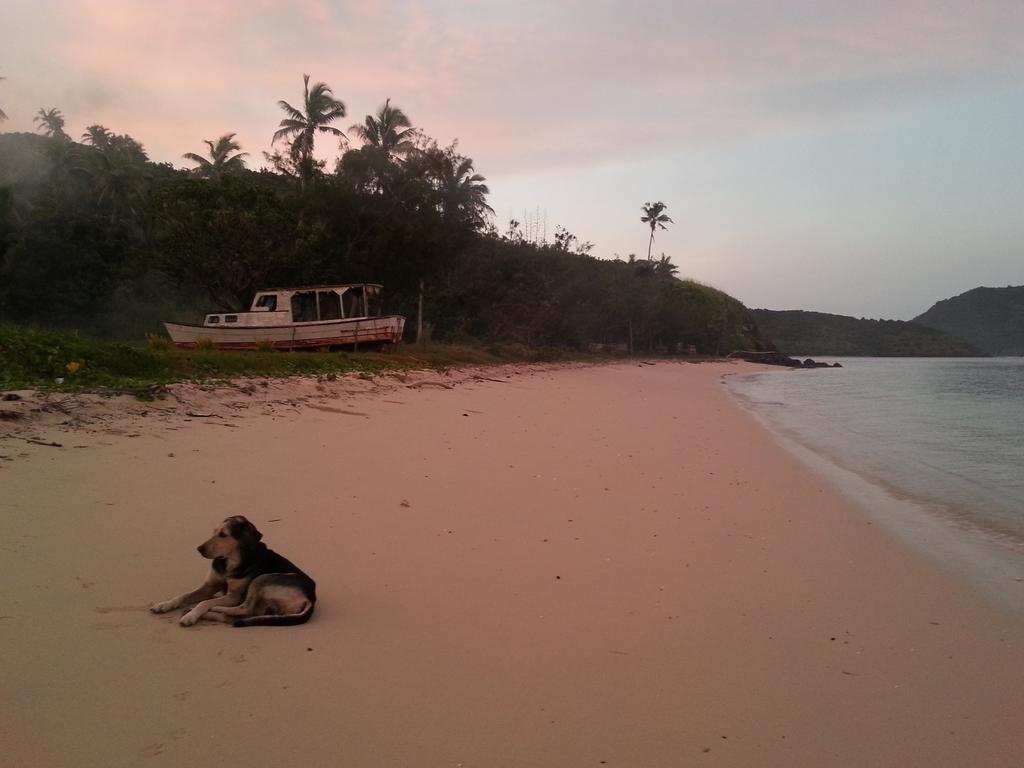 Yasawa Homestays Naisisili Exteriör bild
